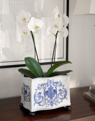 Kruka i kinesiskt porslin med orkide.